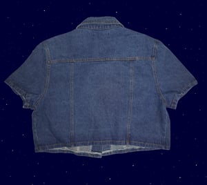 Denim button-up crop top