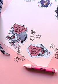 Fight for Your Trash! - Possum Stickers
