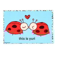 Image 1 of ladybugs