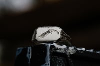Image 4 of Bowie Knife