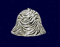 Image 2 of Kangol zebra stripe bucket hat