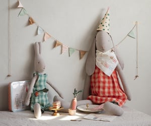 Image of Conejo Talla 3 peto cuadros vichy