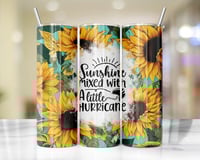 20oz Sunshine and Hurricane Tumbler