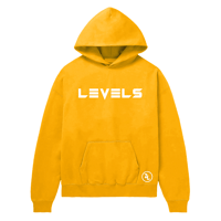 Image 5 of "Levels" Hoodies (click for more colors)