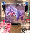 Orchid’s Radiance Limited Edition Print
