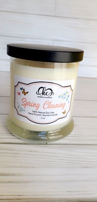 Image 1 of Spring Cleaning 