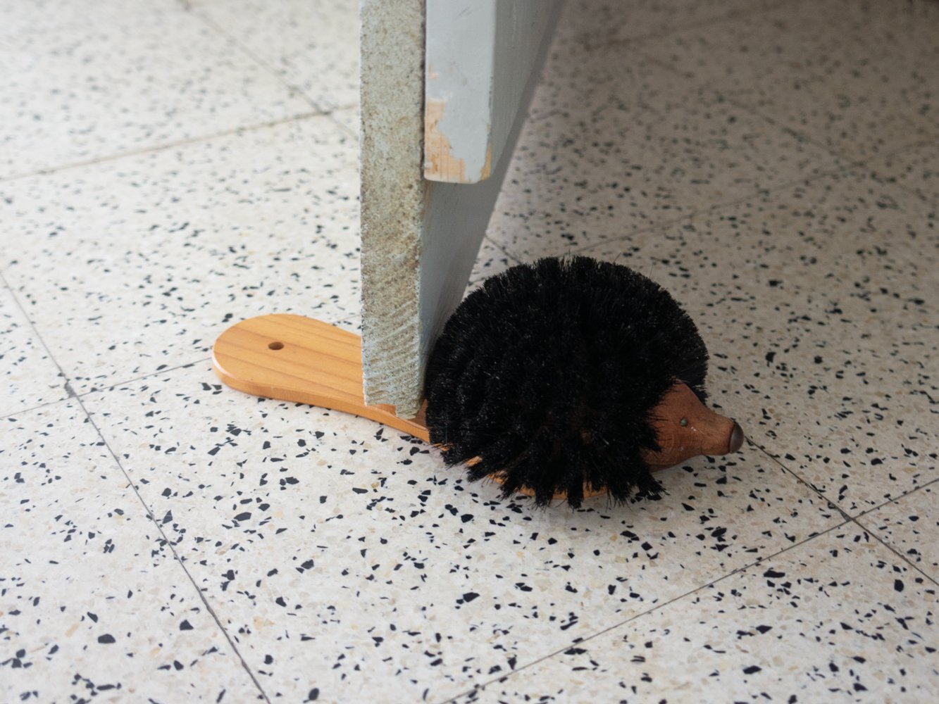Image of hedgehog brush