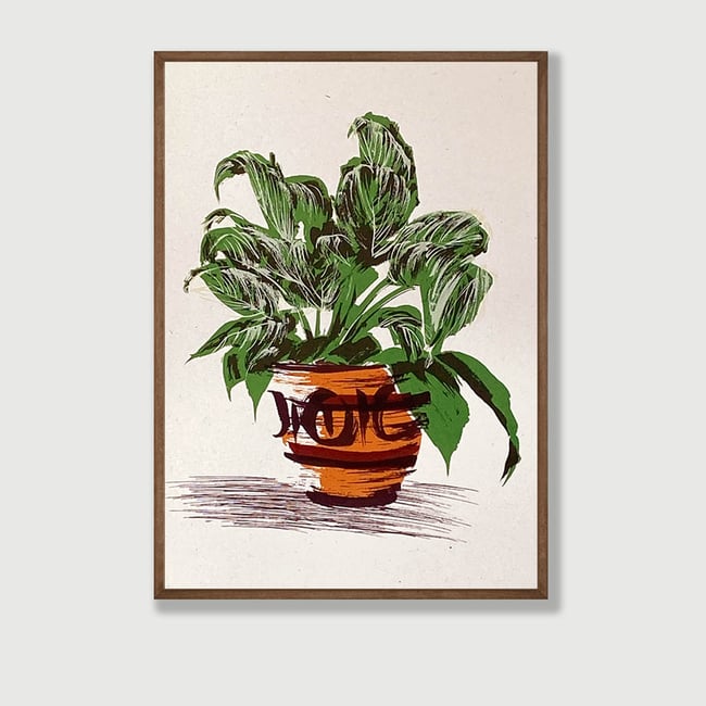 'Calathea'