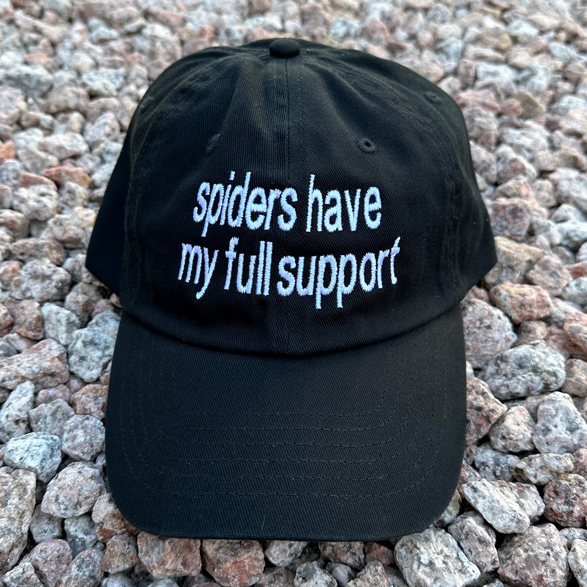 Spiders Black Dad Hat