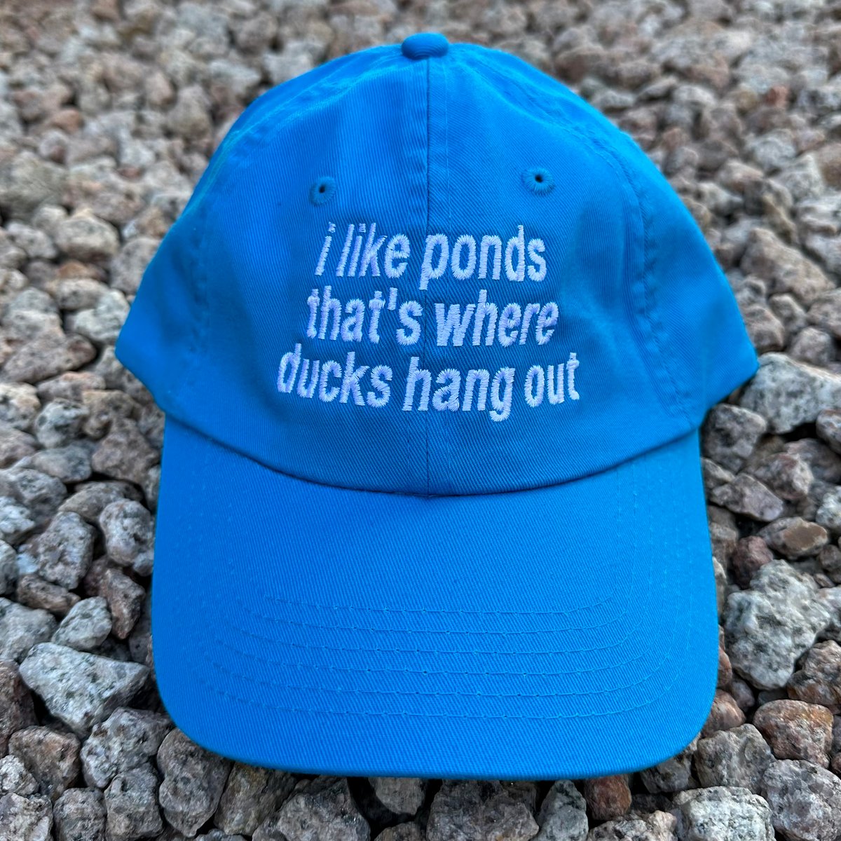 Ducks Blue Dad Hat