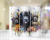 20oz Floral New Foundland Dog Tumbler