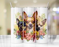 200z Chihuahua Tumbler