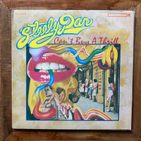 Steely Dan - Can't Buy A Thrill