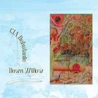 C.I.A. Debutante "Down, Willow" LP