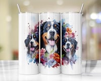 20oz Bernese Mountain Dog Tumbler