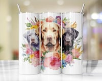 20oz Floral Lab Tumbler