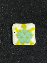 Turtle Coin