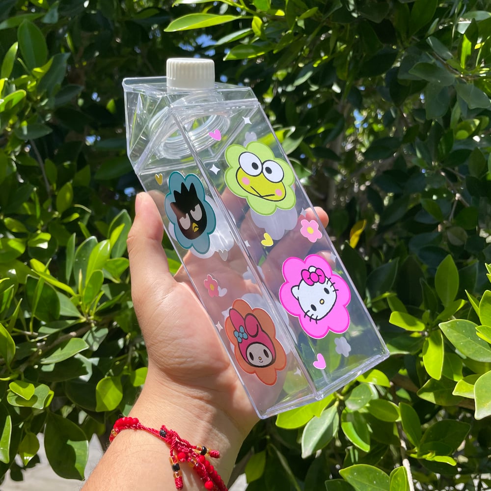 Sanrio Friends Milk Carton