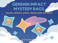 Genshin Impact Mystery Bag