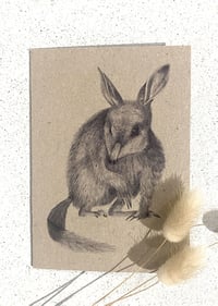 Image 1 of Greeting Card with Envelope - Colleen the Bilby