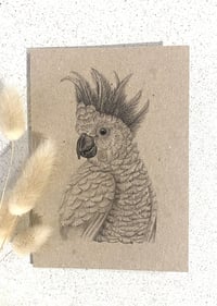 Image 1 of Greeting Card with Envelope - Conrad the Cockatoo