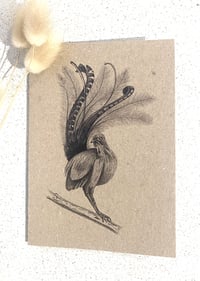 Image 1 of Greeting Card with Envelope - Nigel the Lyrebird