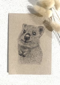 Image 1 of Greeting Card with Envelope - Ralph the Quokka