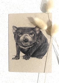 Image 1 of Greeting Card with Envelope - Terry the Tassie Devil