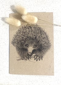 Image 1 of Greeting Card with Envelope - Trev the Echidna