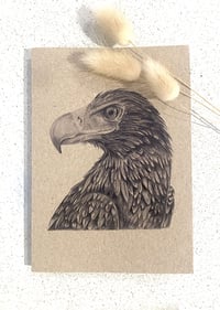 Image 1 of Greeting Card with Envelope - Wayne the Wedgetailed Eagle