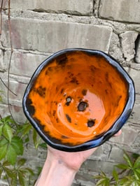 Image 2 of a silent frog plant pot