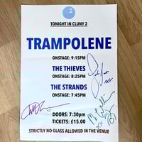 Image 2 of Trampolene signed tour posters (various)