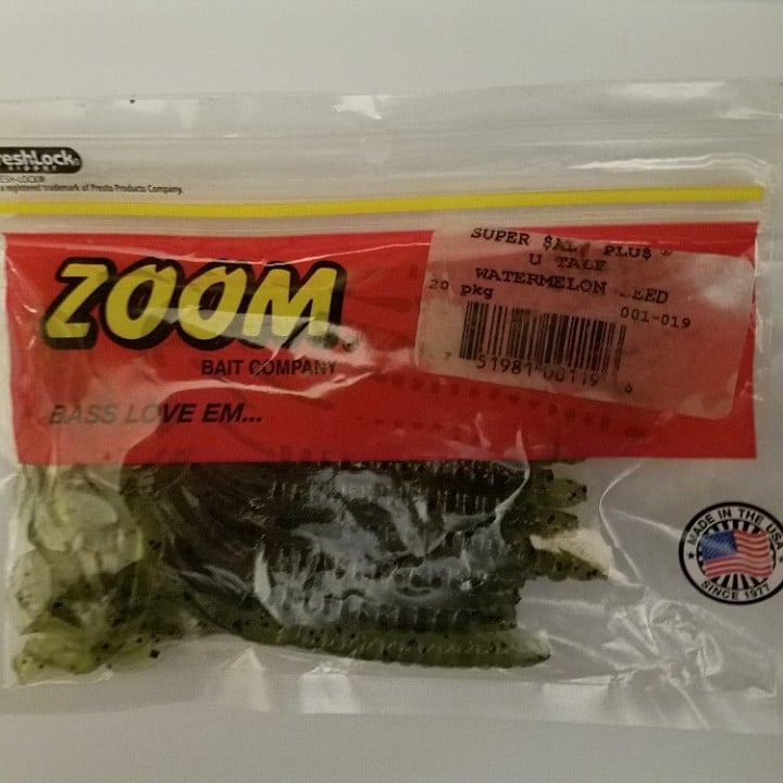 Zoom Lizard - Watermelon Seed