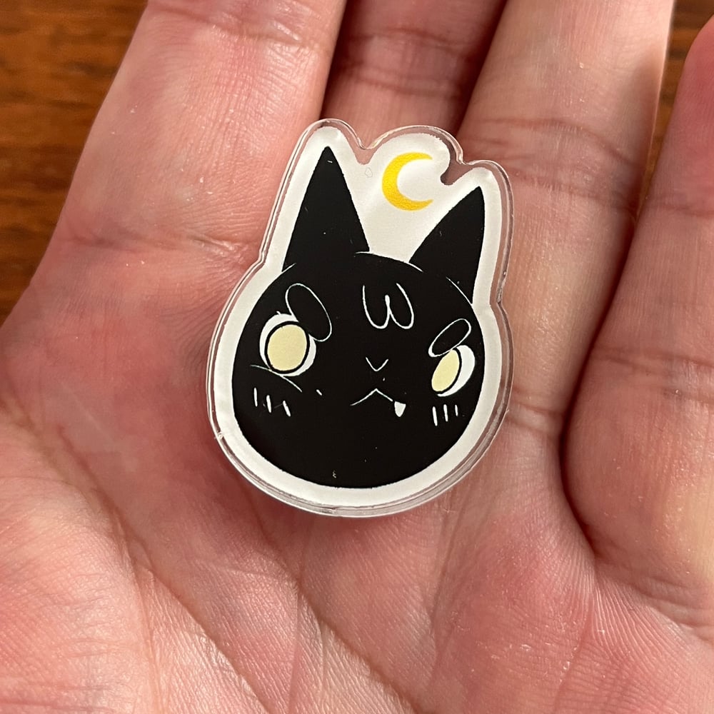 Image of Angry Cat Pin