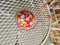 Image of Red floral pincushion in vintage cup