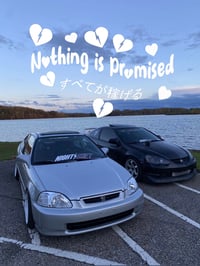Image 3 of Nothing is Promised Rear Banner