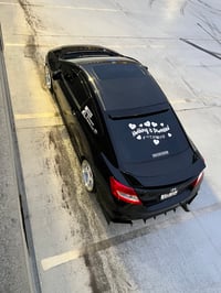 Image 1 of Nothing is Promised Rear Banner