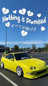 Image 2 of Nothing is Promised Rear Banner