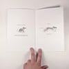 How to Evolve: a Guide for Artists and Small Mammals