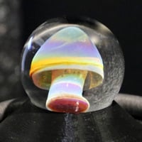 Random Mushroom Marble 