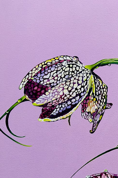 Image of Snake's Head Fritillary