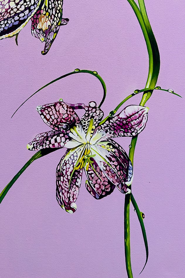 Image of Snake's Head Fritillary