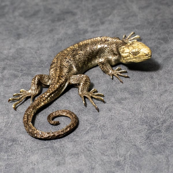 Image of Mummified Monkey Tailed Skink