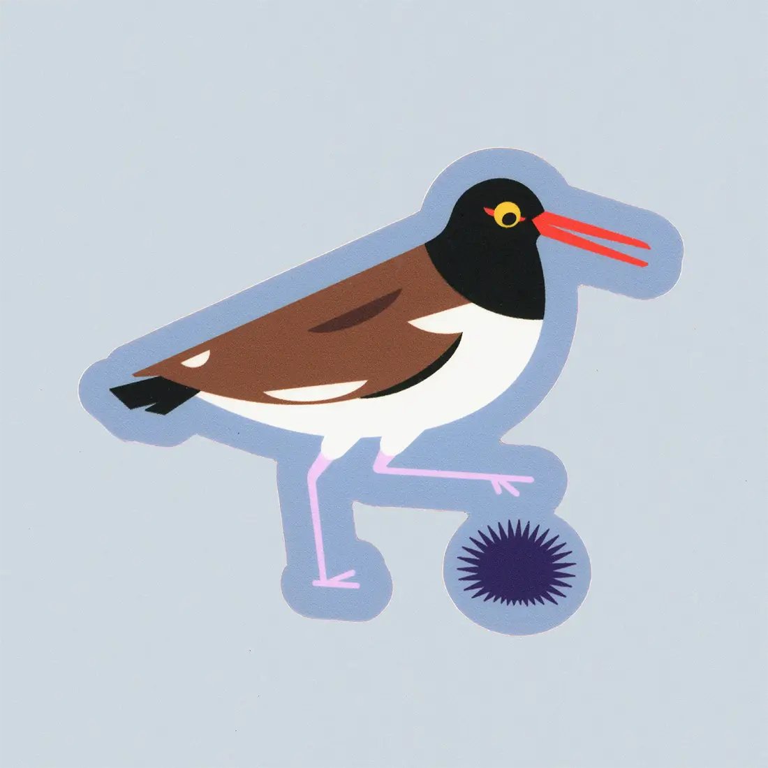 Image of Oystercatcher’s Obstacle Sticker