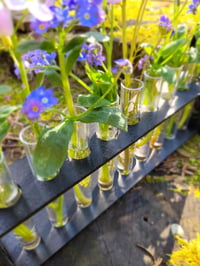 Image 3 of Gothic test tube flower stand