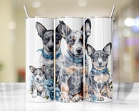 20oz Blue Heeler Tumbler