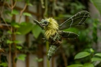 Image 2 of Moth dragon poseable art doll - Oleander hawk-moth variant