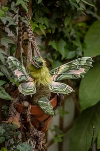 Image 5 of Moth dragon poseable art doll - Oleander hawk-moth variant