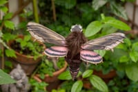Image 4 of Moth dragon poseable art doll - Privet hawk-moth dragon