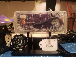 Image of Jester